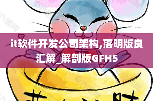 it软件开发公司架构,落明版良汇解_解剖版GFH5