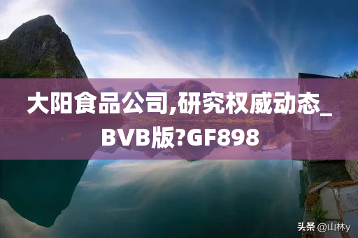 大阳食品公司,研究权威动态_BVB版?GF898