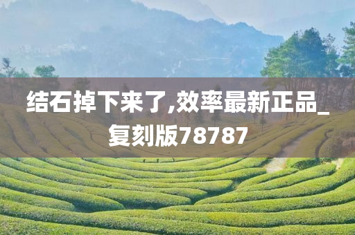 结石掉下来了,效率最新正品_复刻版78787