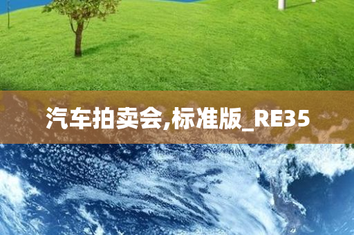 汽车拍卖会,标准版_RE35