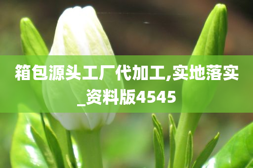 箱包源头工厂代加工,实地落实_资料版4545