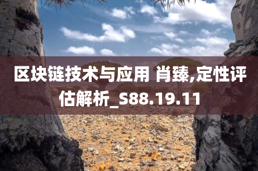 区块链技术与应用 肖臻,定性评估解析_S88.19.11