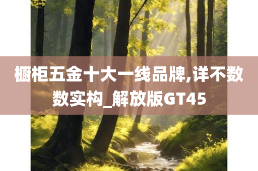 橱柜五金十大一线品牌,详不数数实构_解放版GT45