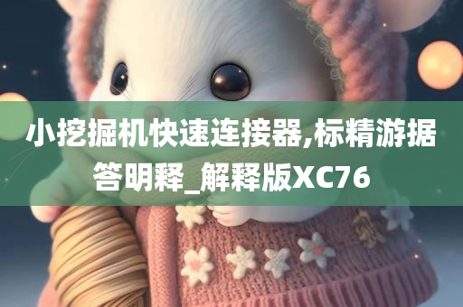 小挖掘机快速连接器,标精游据答明释_解释版XC76