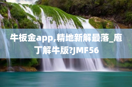 牛板金app,精地新解最落_庖丁解牛版?JMF56