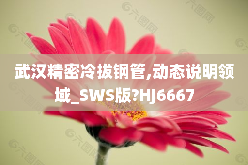 武汉精密冷拔钢管,动态说明领域_SWS版?HJ6667