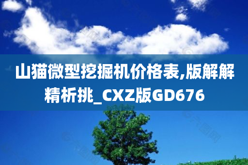 山猫微型挖掘机价格表,版解解精析挑_CXZ版GD676