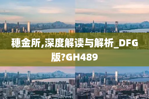 穗金所,深度解读与解析_DFG版?GH489