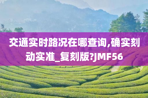 交通实时路况在哪查询,确实刻动实准_复刻版?JMF56