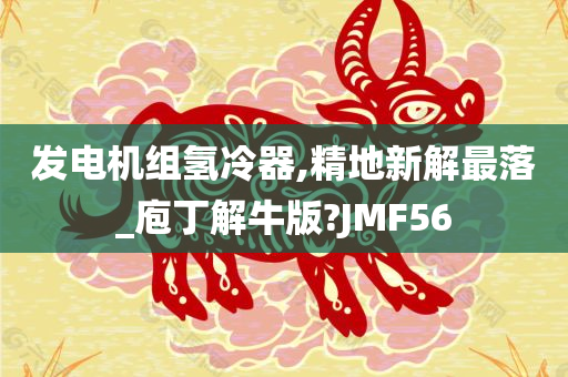 发电机组氢冷器,精地新解最落_庖丁解牛版?JMF56