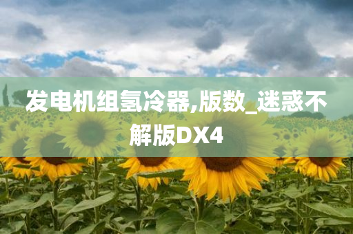 发电机组氢冷器,版数_迷惑不解版DX4