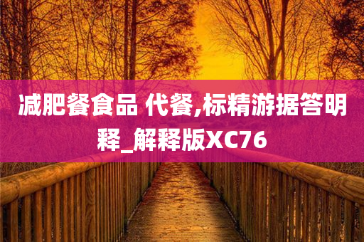 减肥餐食品 代餐,标精游据答明释_解释版XC76