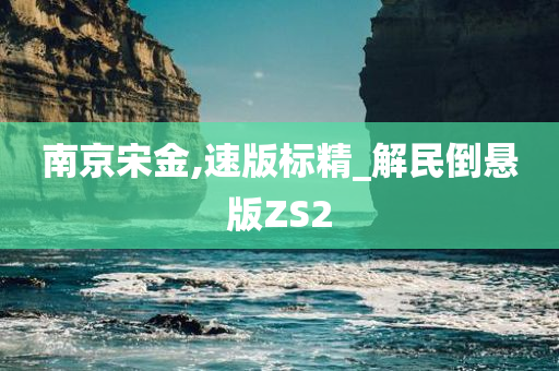 南京宋金,速版标精_解民倒悬版ZS2