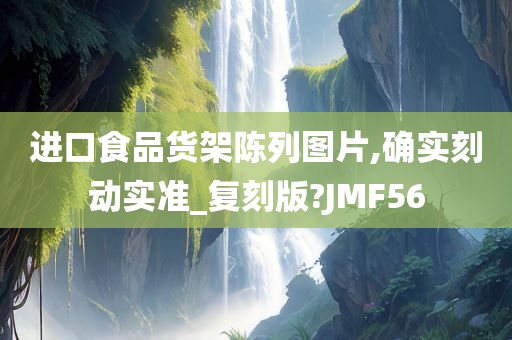 进口食品货架陈列图片,确实刻动实准_复刻版?JMF56