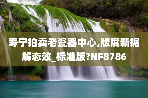 寿宁拍卖老瓷器中心,版度新据解态效_标准版?NF8786