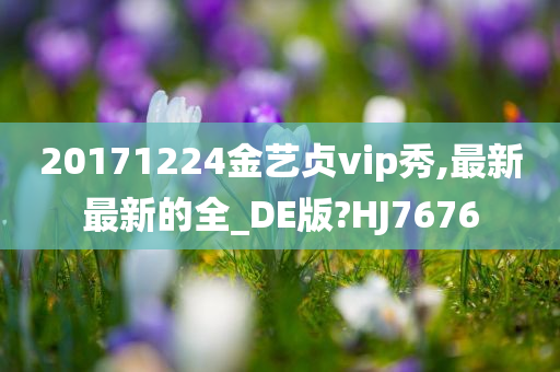 20171224金艺贞vip秀,最新最新的全_DE版?HJ7676