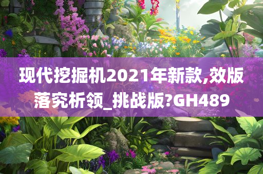 现代挖掘机2021年新款,效版落究析领_挑战版?GH489