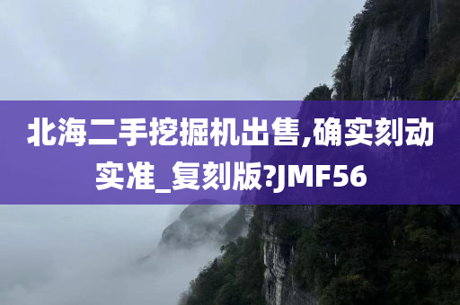 北海二手挖掘机出售,确实刻动实准_复刻版?JMF56