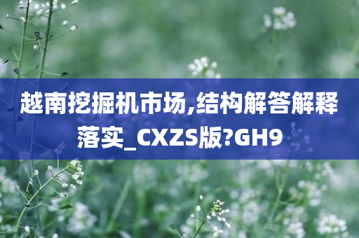 越南挖掘机市场,结构解答解释落实_CXZS版?GH9