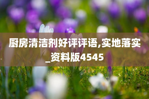 厨房清洁剂好评评语,实地落实_资料版4545