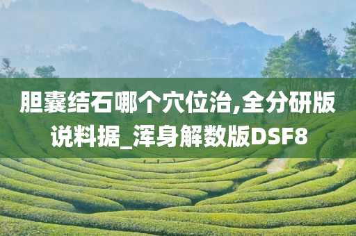 胆囊结石哪个穴位治,全分研版说料据_浑身解数版DSF8