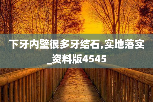 下牙内壁很多牙结石,实地落实_资料版4545