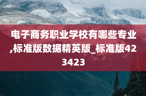 电子商务职业学校有哪些专业,标准版数据精英版_标准版423423