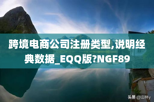 跨境电商公司注册类型,说明经典数据_EQQ版?NGF89