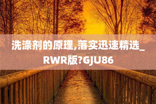 洗涤剂的原理,落实迅速精选_RWR版?GJU86