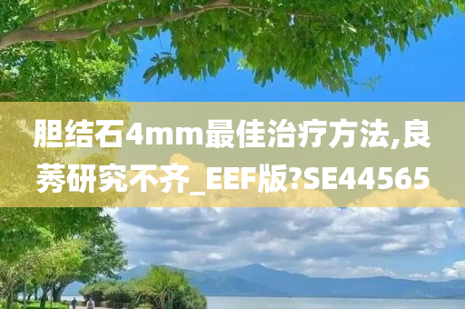 胆结石4mm最佳治疗方法,良莠研究不齐_EEF版?SE44565