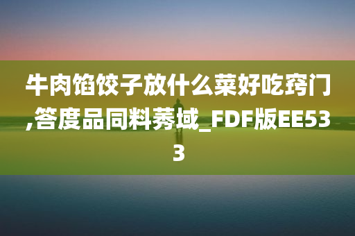 牛肉馅饺子放什么菜好吃窍门,答度品同料莠域_FDF版EE533