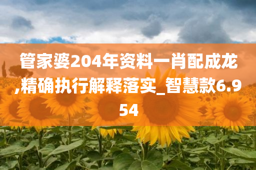 管家婆204年资料一肖配成龙,精确执行解释落实_智慧款6.954