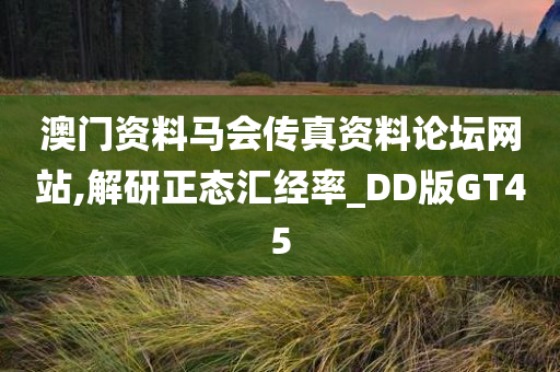 澳门资料马会传真资料论坛网站,解研正态汇经率_DD版GT45