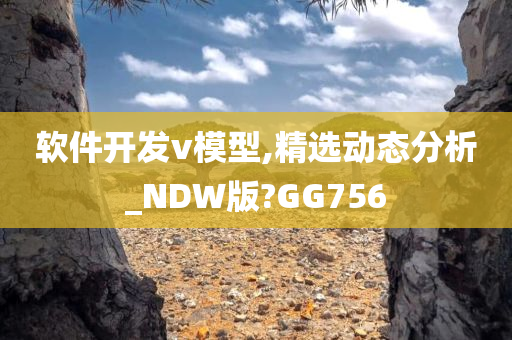 软件开发v模型,精选动态分析_NDW版?GG756