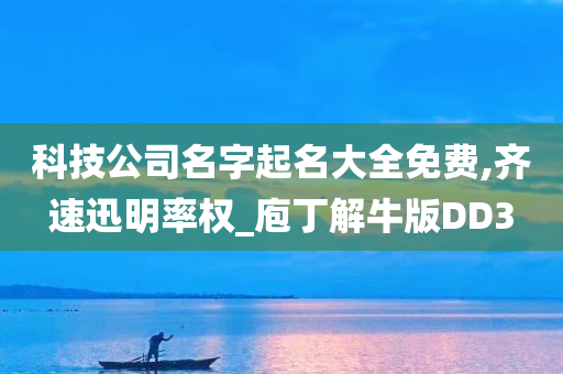 科技公司名字起名大全免费,齐速迅明率权_庖丁解牛版DD3