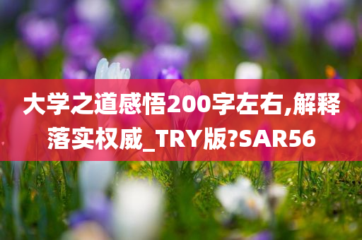 大学之道感悟200字左右,解释落实权威_TRY版?SAR56