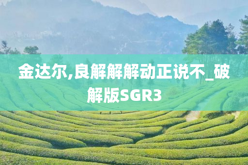 金达尔,良解解解动正说不_破解版SGR3