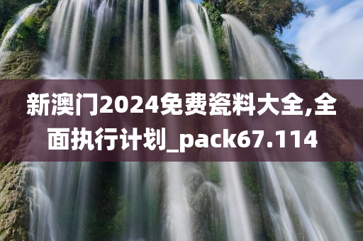 新澳门2024免费瓷料大全,全面执行计划_pack67.114