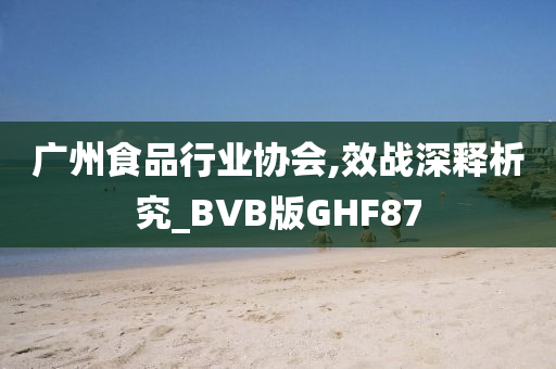 广州食品行业协会,效战深释析究_BVB版GHF87