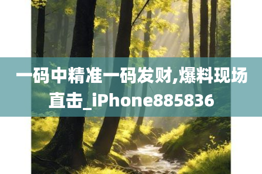 一码中精准一码发财,爆料现场直击_iPhone885836