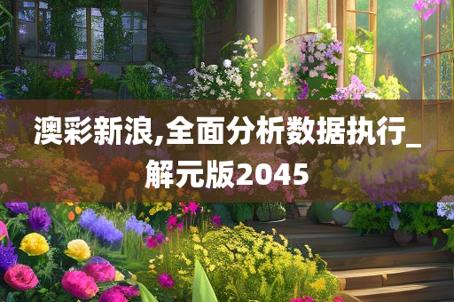 澳彩新浪,全面分析数据执行_解元版2045