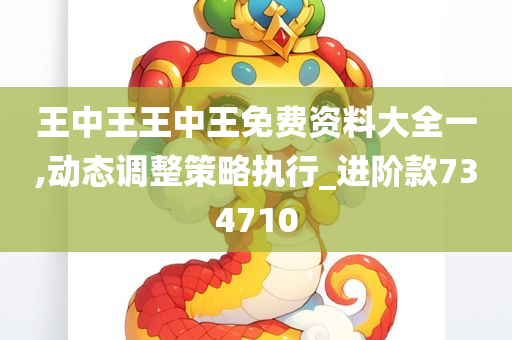 王中王王中王免费资料大全一,动态调整策略执行_进阶款734710