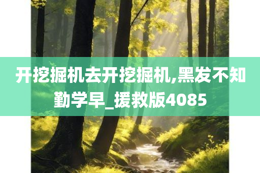 开挖掘机去开挖掘机,黑发不知勤学早_援救版4085