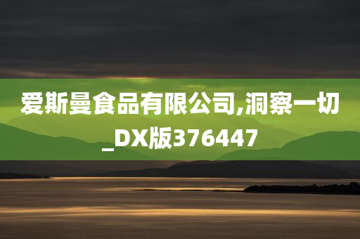 爱斯曼食品有限公司,洞察一切_DX版376447