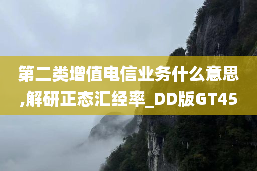 第二类增值电信业务什么意思,解研正态汇经率_DD版GT45