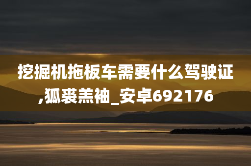 挖掘机拖板车需要什么驾驶证,狐裘羔袖_安卓692176