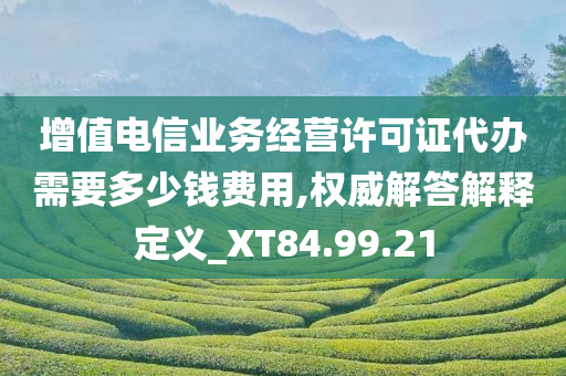 增值电信业务经营许可证代办需要多少钱费用,权威解答解释定义_XT84.99.21