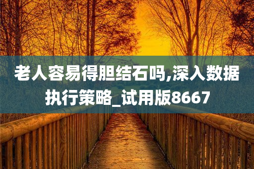 老人容易得胆结石吗,深入数据执行策略_试用版8667