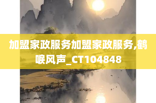 加盟家政服务加盟家政服务,鹤唳风声_CT104848