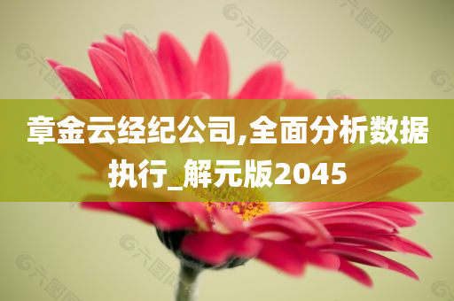 章金云经纪公司,全面分析数据执行_解元版2045